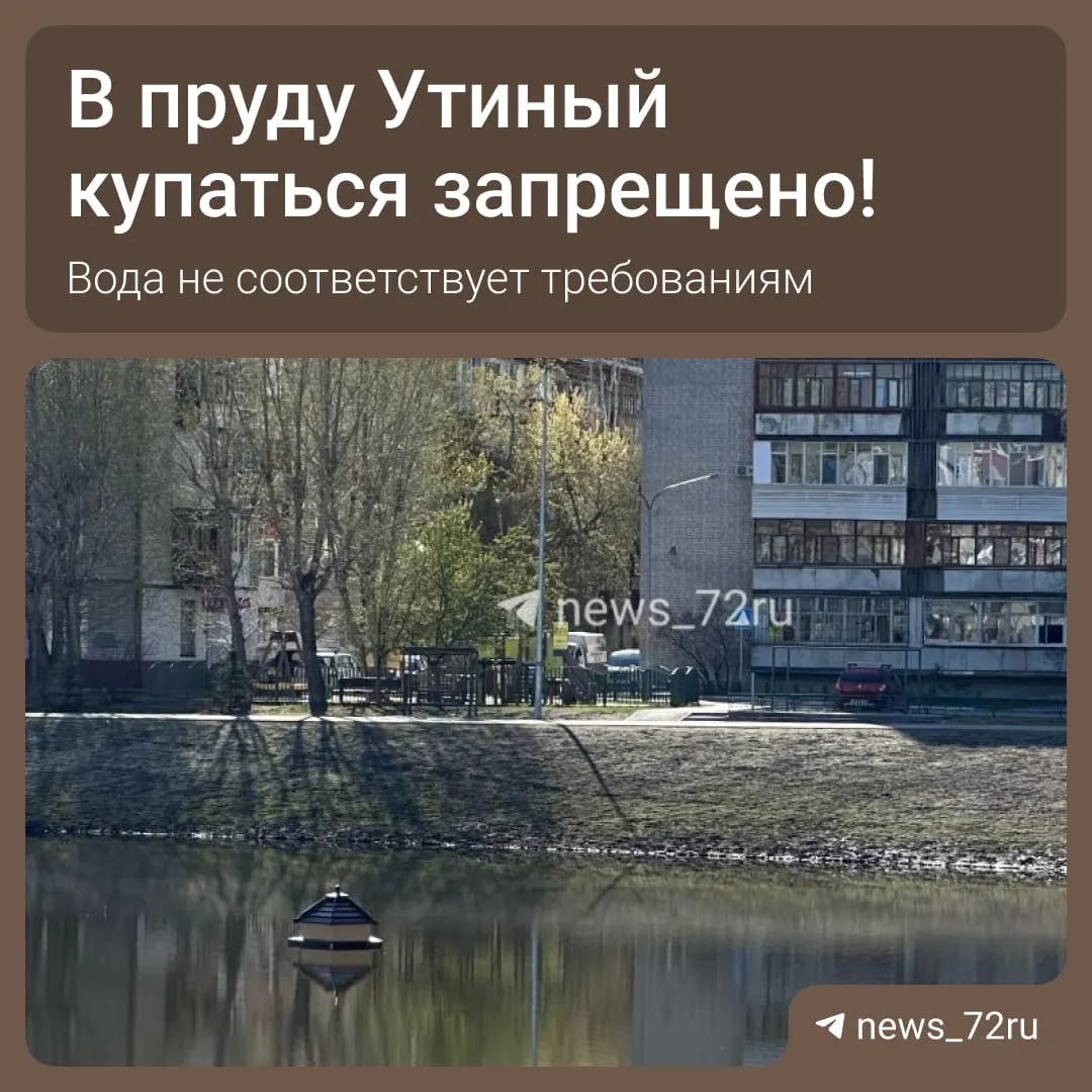 Роспотребнадзор отобрал пробы воды в карьере «Утиный». По результатам лабораторных исследований вода признана небезопасной — купание и контакт с водой запрещены.