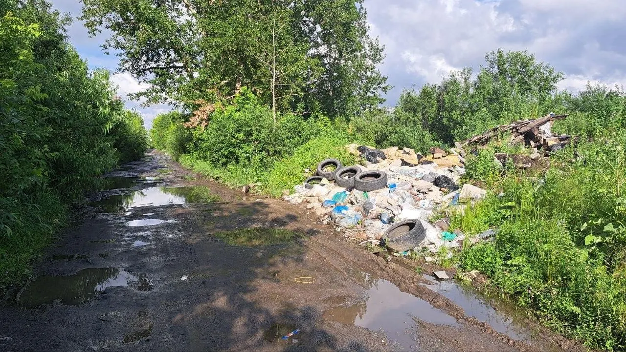 НКО приглашает жителей на субботник по уборке мусора на полуострове Баран: организаторы обеспечат инвентарь, после — обед и арт‑мероприятия; сбор в 10:00.