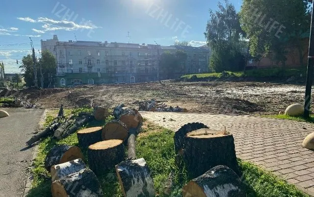 Рядом с Троицким собором в Ижевске срубили несколько берез в рамках работ по благоустройству улицы — местные жители возмущены и спрашивают, зачем это было сделано.