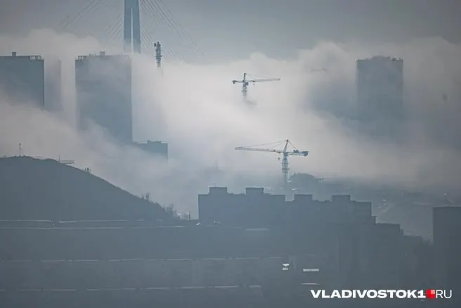 По данным исследования на основе Росприроднадзора, в 2025 году предприятия и транспорт Приморского края выбросили 252,3 тыс. т загрязняющих веществ — рост на 0,9% и третье место в ДФО.