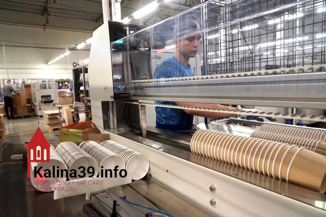 Компания OSQ International намерена до конца 2026 года начать строительство завода по производству бумажной упаковки под Калининградом. Инвестиции оцениваются в 550 млн руб., экологи и жители обеспокоены вопросами сырья и утилизации отходов.