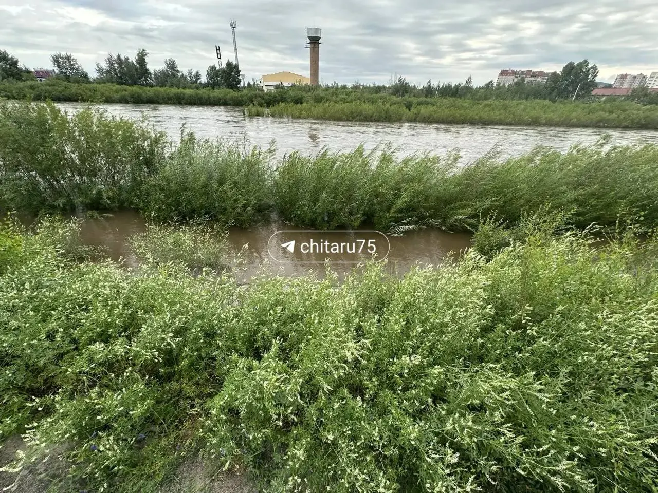По данным минприроды, уровень воды в реке Читинка за ночь вырос до 306 см — до выхода из берегов осталось около метра. В отдельных населённых пунктах наблюдаются колебания уровня.