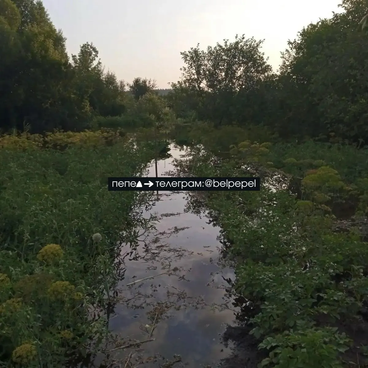 Через 35-метровый разрыв в дамбе Белгородского водохранилища идёт неконтролируемый сброс воды. Река Нежеголь стремительно наполняется, вниз по течению фиксируются подтопления населённых пунктов и приусадебных участков.