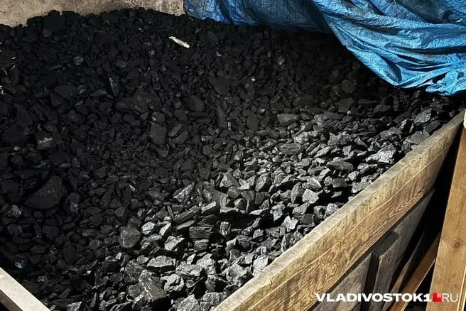 Суд взыскал 200 тысяч рублей с оператора угольной перевалки в порту Восточный и обязал оформить новое положительное заключение экспертизы. Ранее в бухте появились видео с черной прибрежной полосой и подозрениями на угольное загрязнение.