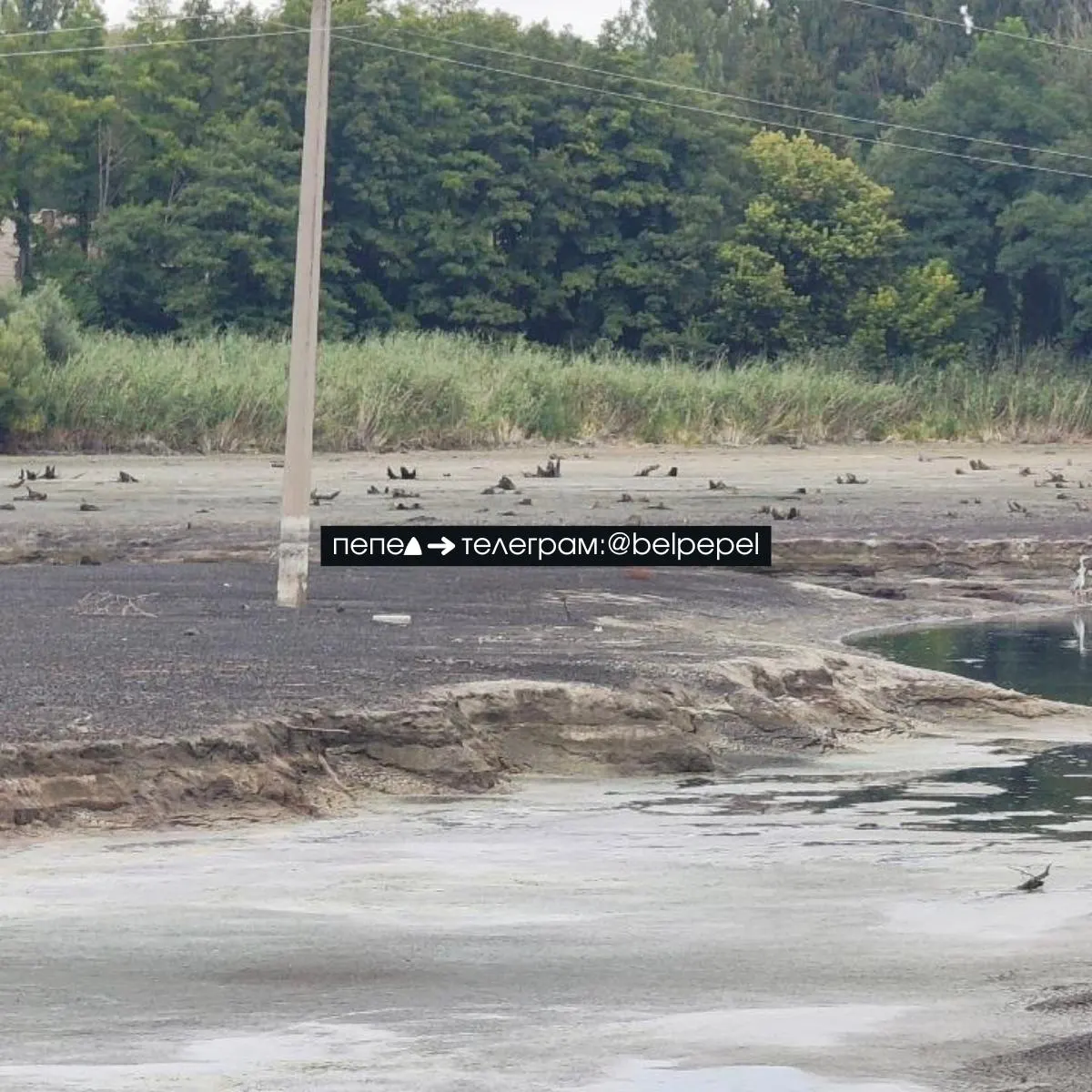 После прорыва плотины водохранилище стремительно теряет воду: река Разумная обмелела, ниже по течению наполнилась река Нежеголь, в прибрежных селах начались подтопления; спутниковые данные показывают до 35% потери воды за несколько дней.