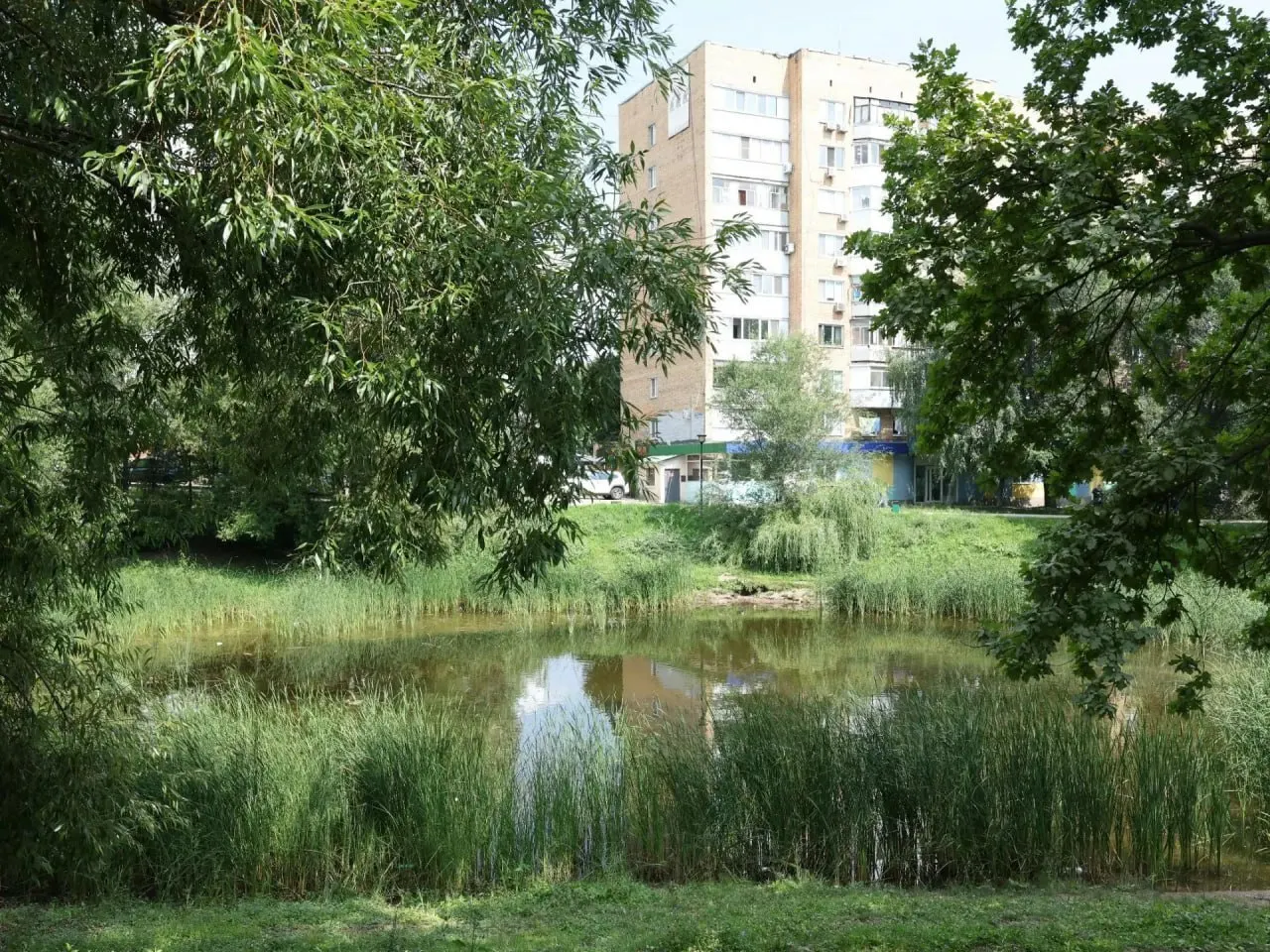 Водоём пересыхает из‑за отсутствия притока и недостаточной фильтрации. На восстановление 13 городских озёр потребуется более 2 млрд рублей.