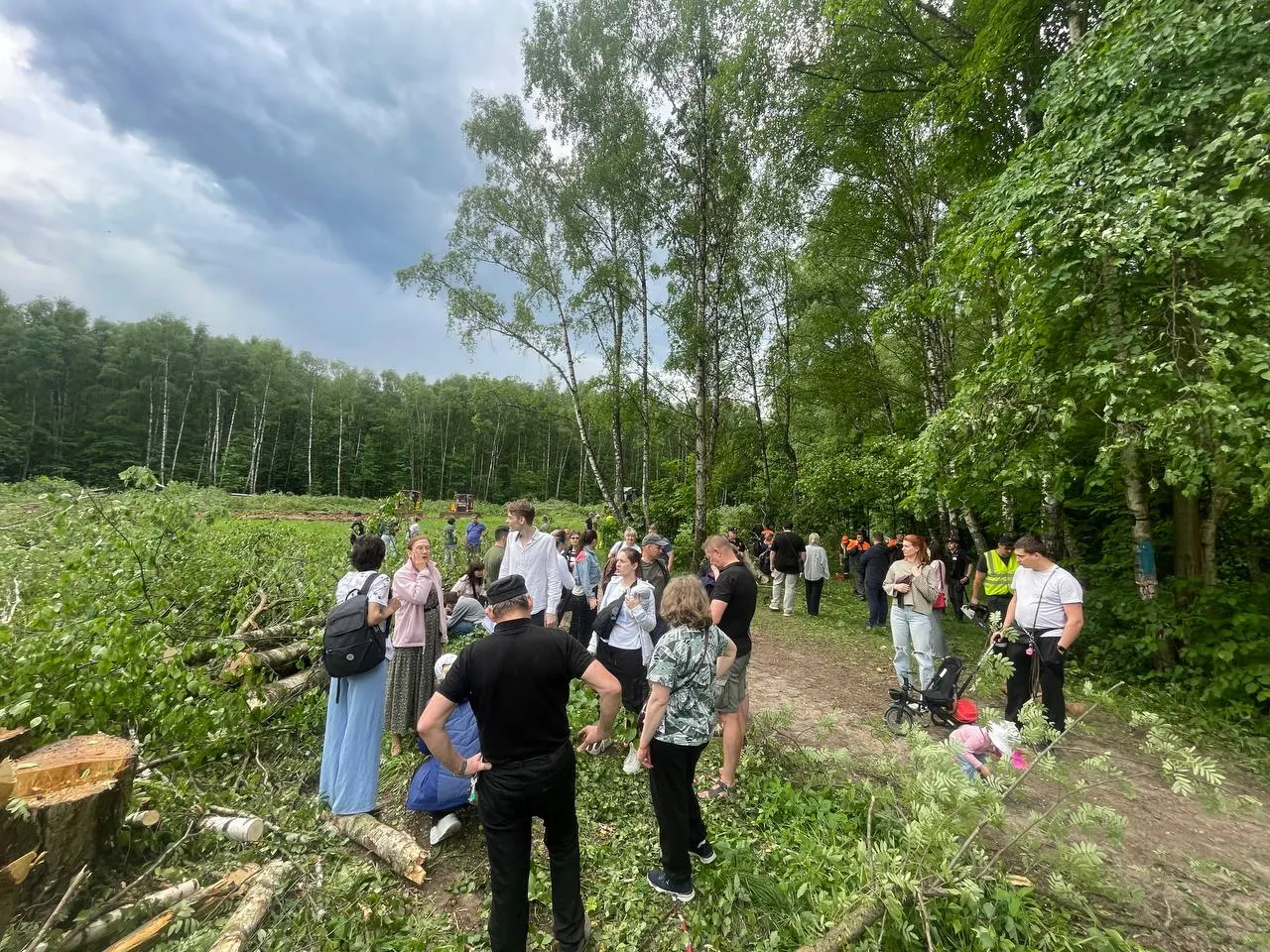 Департамент природопользования привлёк к ответственности 214 лиц и взыскал 20,5 млн ₽; подрядчикам направлено 53 требования о возмещении ущерба на 231 млн ₽, часть материалов передана в суд.