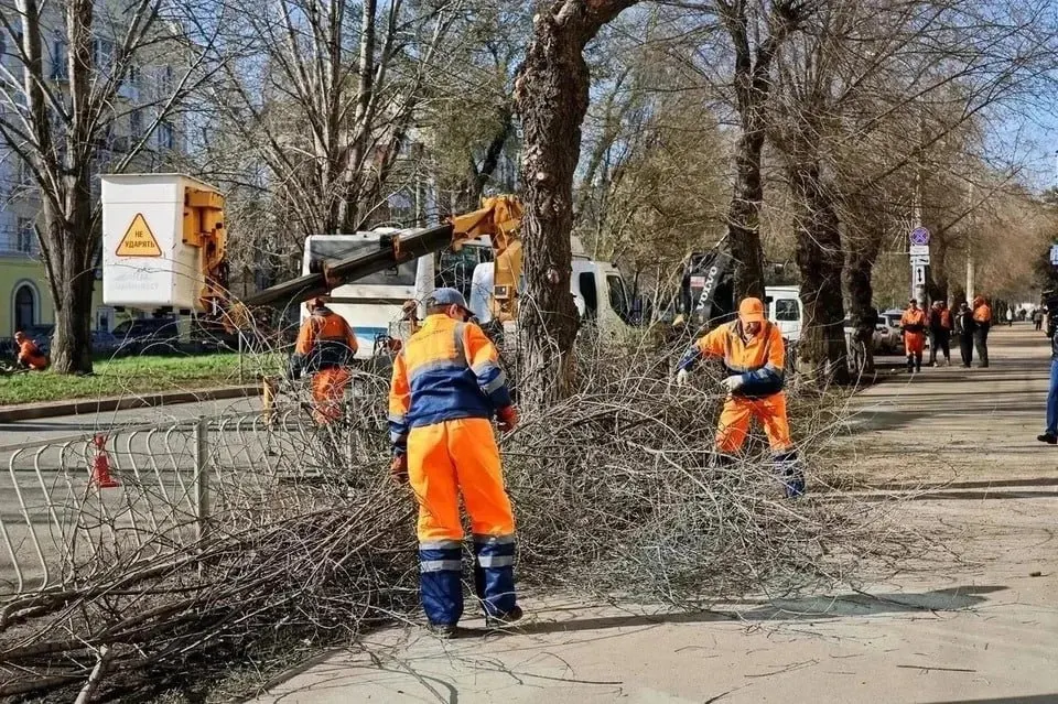 В городе на одного жителя приходится всего 4,5 м² зелёных насаждений при нормативе 16 м². Деревья исчезают из‑за плотной застройки, вредителей, агрессивной городской среды и новых запретов на посадки.