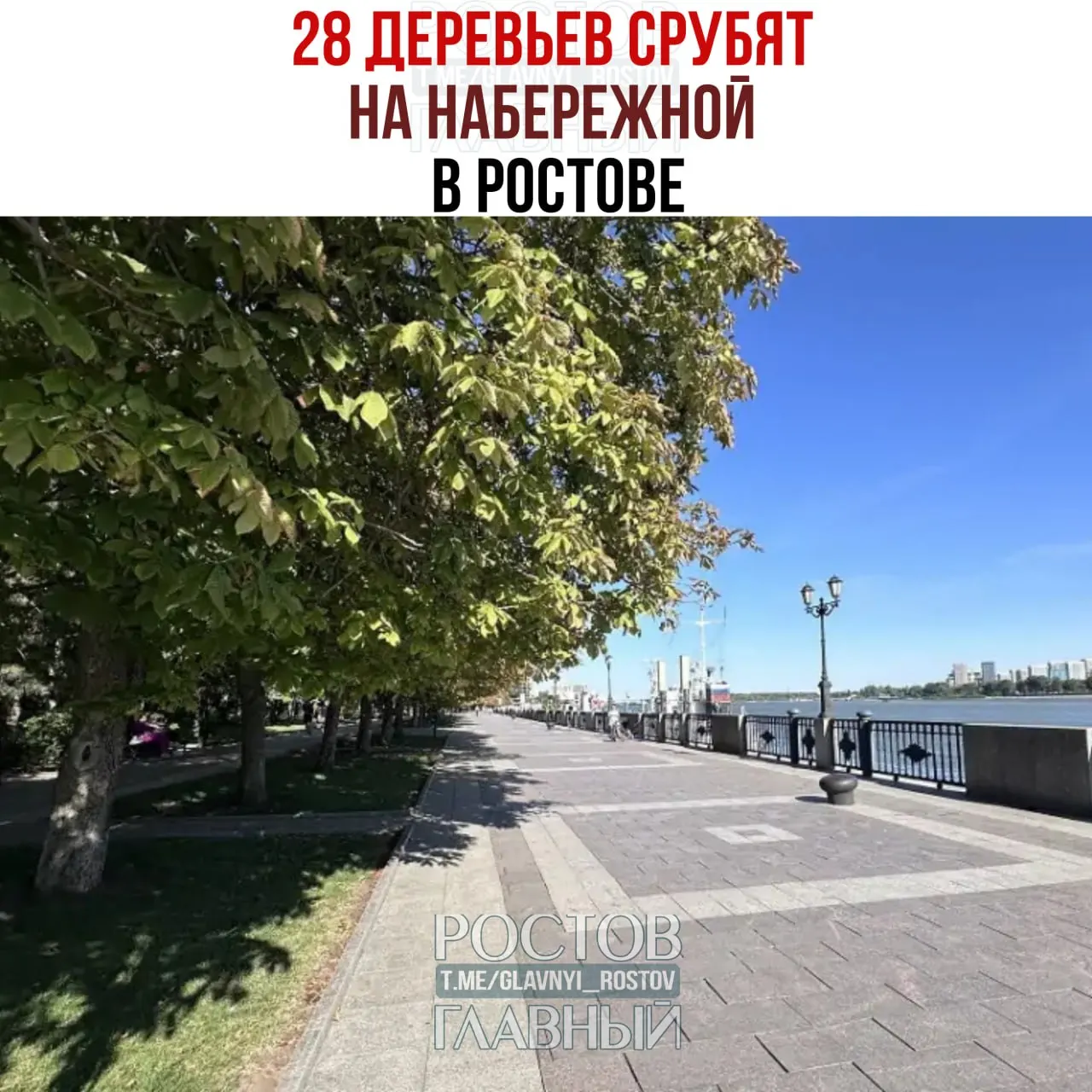 Управление благоустройства объявило конкурс на удаление ветхих деревьев и обрезку тополей на улице Береговой: по оценке властей, необходимо срубить 28 деревьев и обрезать 77 тополей.