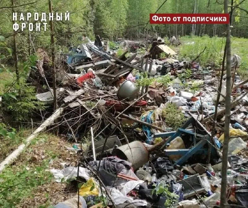 Жители Каргасокского района обращаются в общественные организации из‑за многочисленных несанкционированных свалок возле сел: мусор привлекает медведей и мешает безопасному сбору грибов и ягод. Общественники указывают на обещания местных властей, но проблема сохраняется годами.