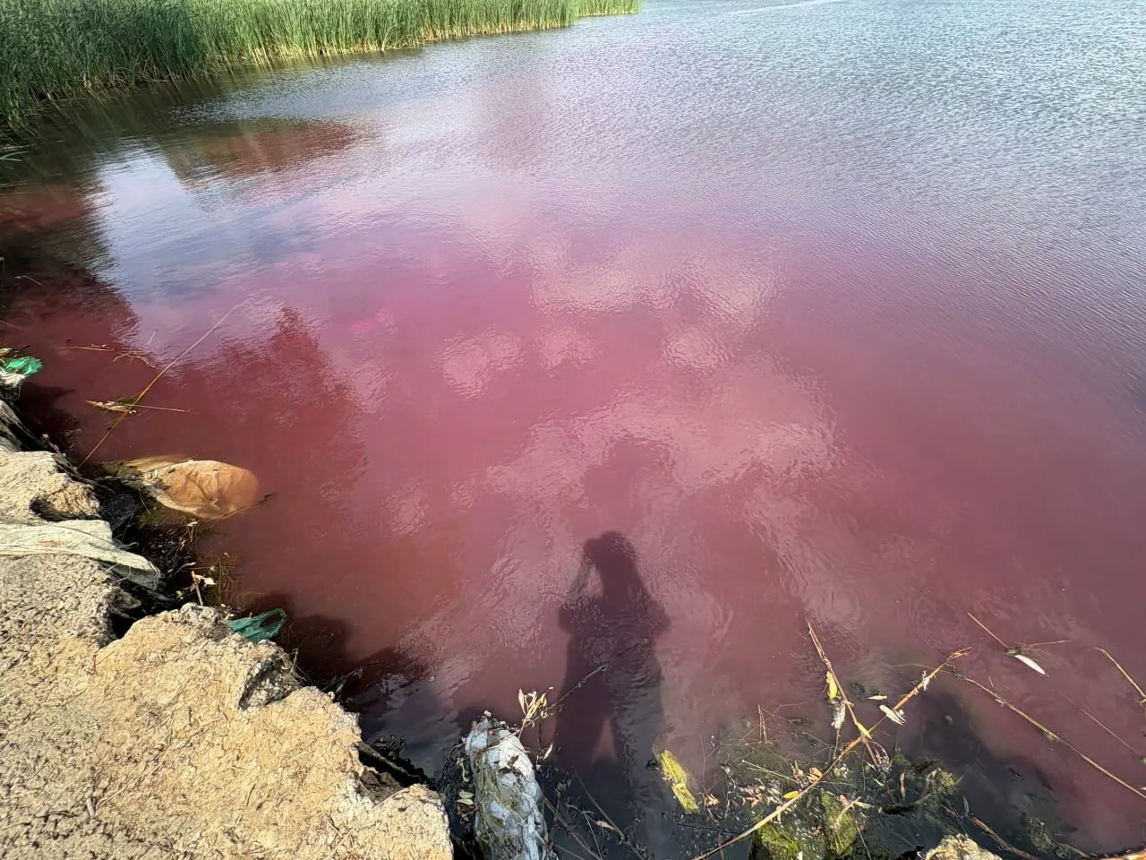 Жители Котово отмечают аномальный розовый оттенок воды в реке Малая Казанка. Сообщение о происшествии направлено в областной комитет по природным ресурсам и экологии для проверки и анализов.