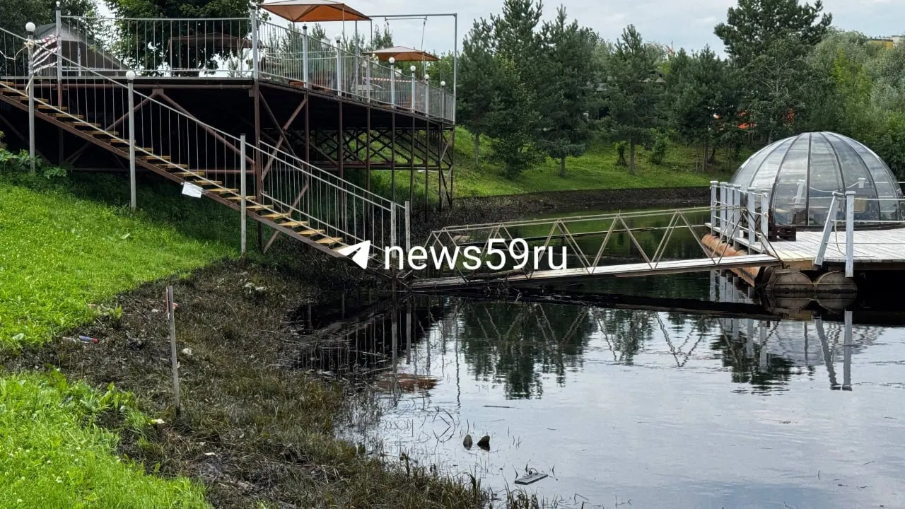 В реках Мулянка и Пыж выявлено загрязнение нефтепродуктами: поверхность черная, вода в радужных разводах, мелкая рыба гибнет, птицы покрыты вязкой субстанцией. Волонтёры организовали пункт помощи на берегу и спасают животных.
