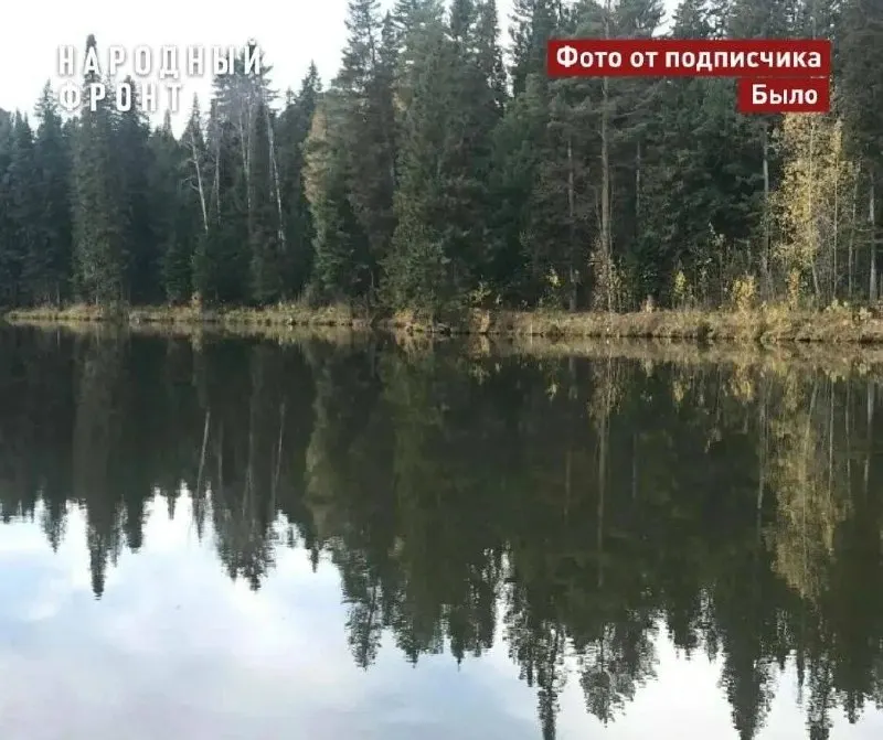 В поселке Мирный после прорыва дамбы обмелел искусственный водоём Каличниково (Новое). Активисты просят власти проверить причины, оценить экологический ущерб и обязать виновных восстановить дамбу и вернуть озеро.