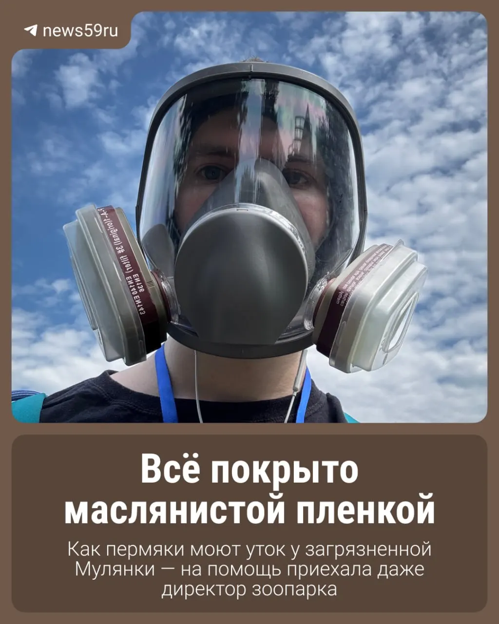 На Мулянке и Пыже обнаружены масляные пятна: птицы загрязнены неизвестным веществом. На берегу у базы отдыха собрали волонтёров — людей просят ловить и отмывать птиц, на помощь приехал директор зоопарка.