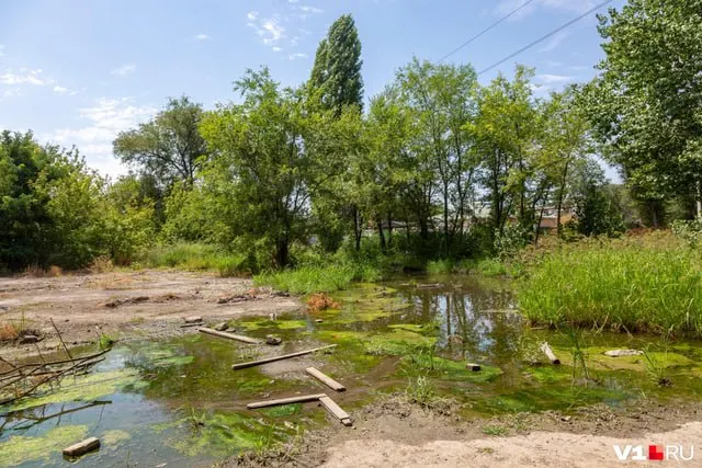 Жители заметили стоячую воду и ярко‑зелёные водоросли возле бывшего входа на стадион. Служба водоснабжения заявила, что направила бригаду для проверки труб и сетей.