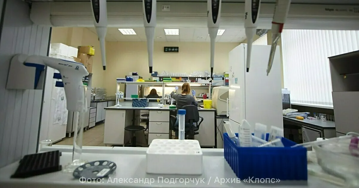 Учёные из БФУ им. Канта вместе с коллегами из СПбГУ и Института Тимирязева предложили получать экологически чистое моторное топливо из микроводорослей рода Scenedesmus — потенциальную альтернативу традиционным видам дизеля.