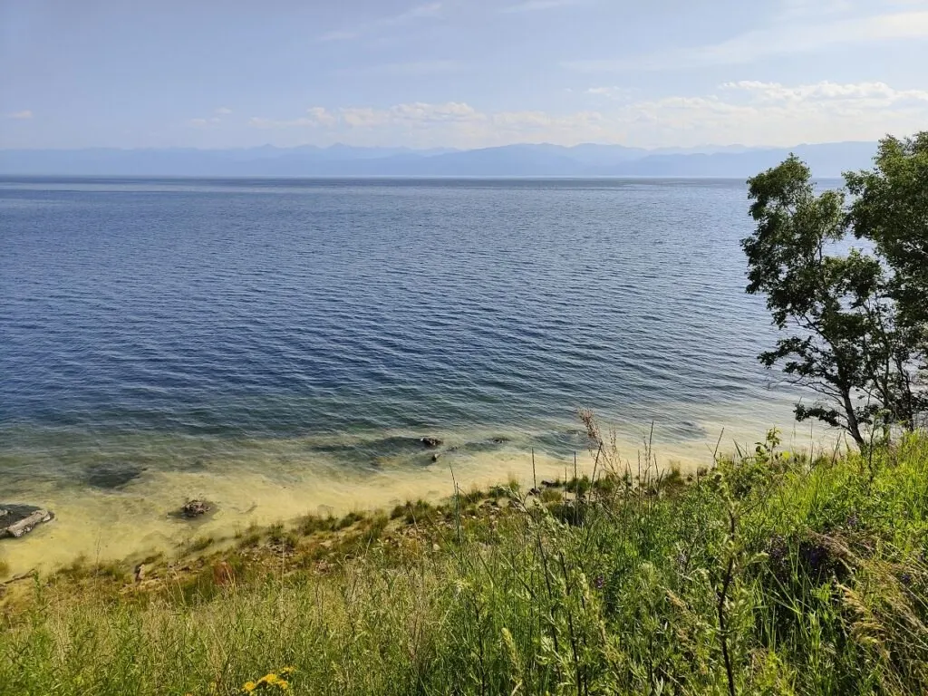 В районе Кругобайкальской железной дороги заметили воду необычного жёлтого оттенка. Специалисты объясняют, что это не загрязнение, а взвесь пыльцы и растительных остатков — запаха нет, серьёзной опасности для озера обычно не представляет.