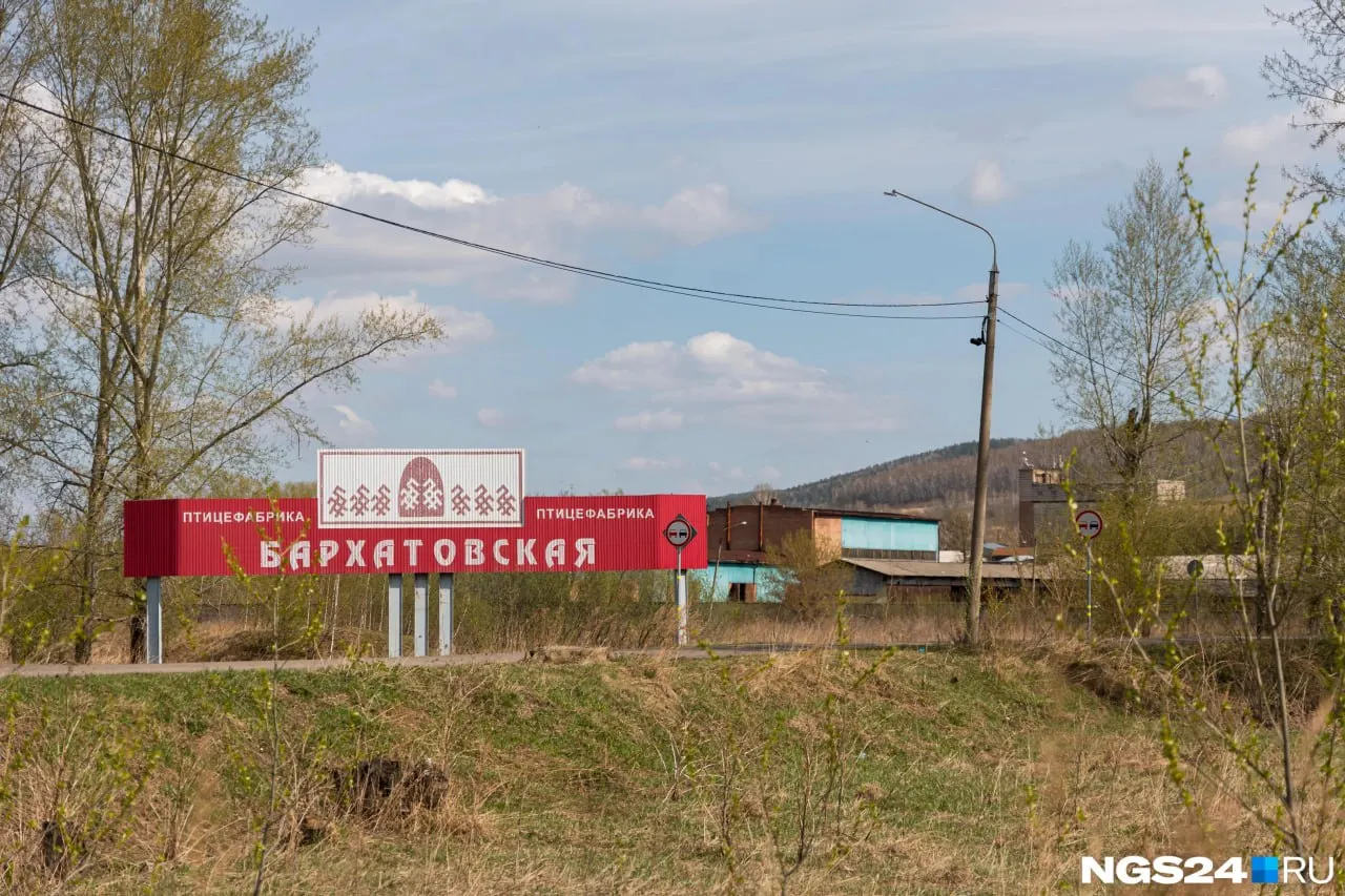 На предприятии подтверждён очаг ньюкаслской болезни; на территории фабрики до 1 сентября запрещены продажа и ввоз птицы, яиц, пуха и пера, а также допуск посторонних.