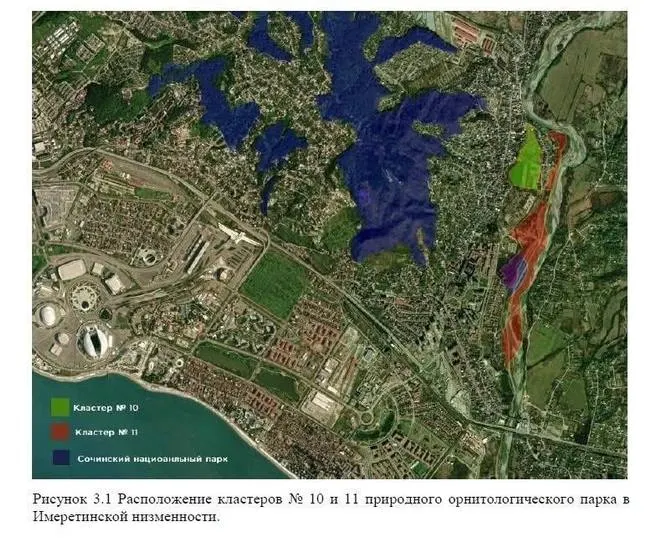 Минприроды Кубани вынесло на общественное обсуждение изменение границ орнитопарка: планируется исключить два участка для строительства футбольных полей, что может повлиять на птиц и экосистему.