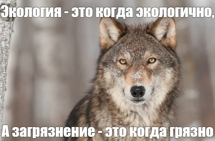 За шесть лет на мероприятия по очистке воздуха в Кемерове потрачены сотни миллионов рублей; в ближайшее время планируют выделить почти 100 млн. С 2020 года выбросы сократились примерно на 1,2 тыс. тонн — около 1,5%.