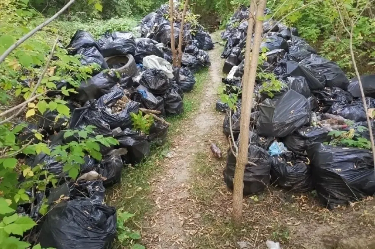 С территории Пивоварского водопада собрали и вывезли бытовой и строительный мусор — около 150 грузовиков; место укрепили грунтом и планируют превратить в зону отдыха.