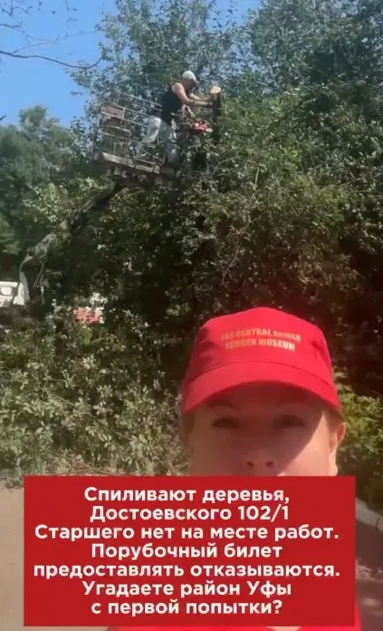 У дома на ул. Достоевского мужчина отказывался предъявить порубочный билет. Разбираем, какие разрешения требуются для вырубки и что говорит федеральное и местное законодательство.