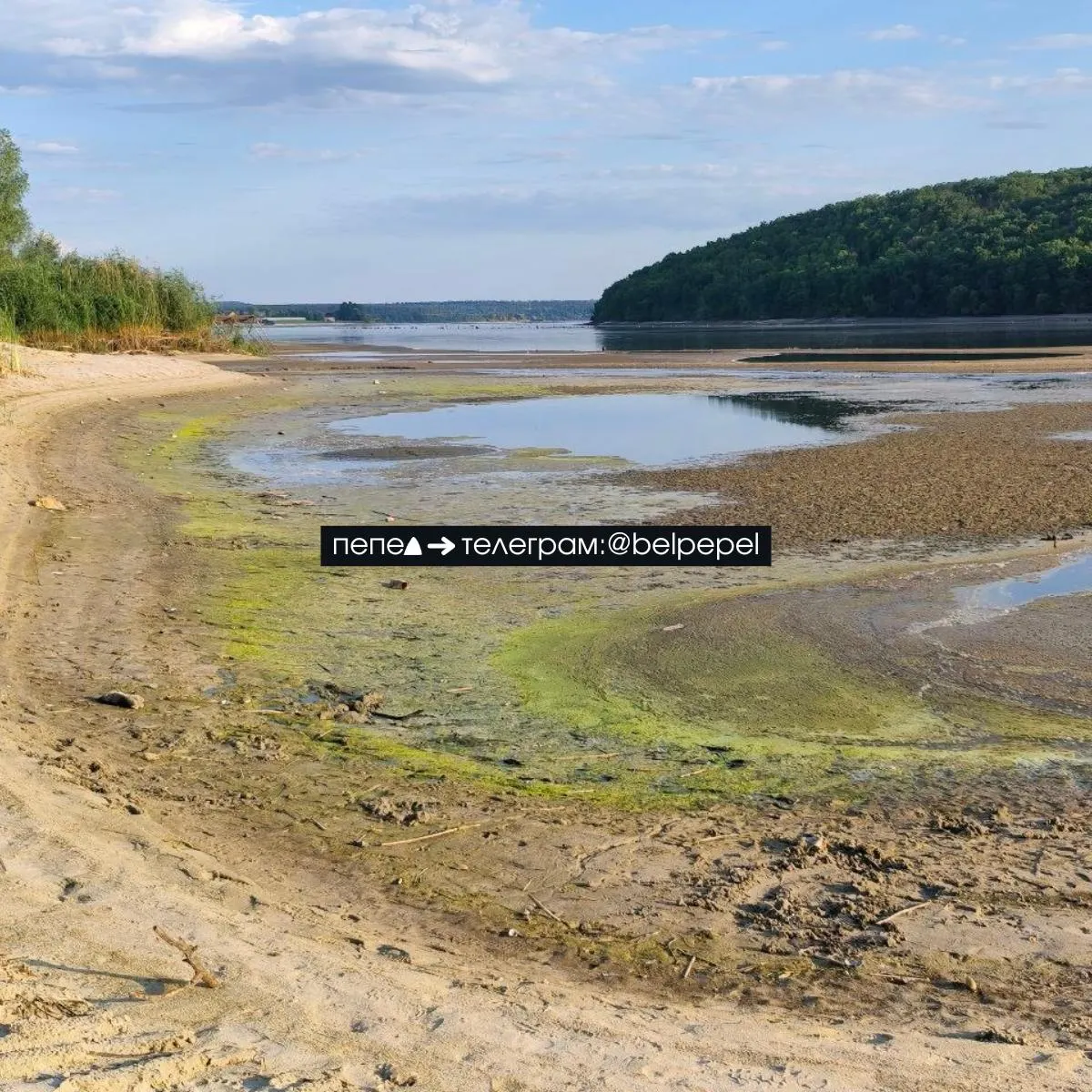Прорыв плотины Белгородского водохранилища: обмеление, подтопления и&nbsp;гибель рыбы