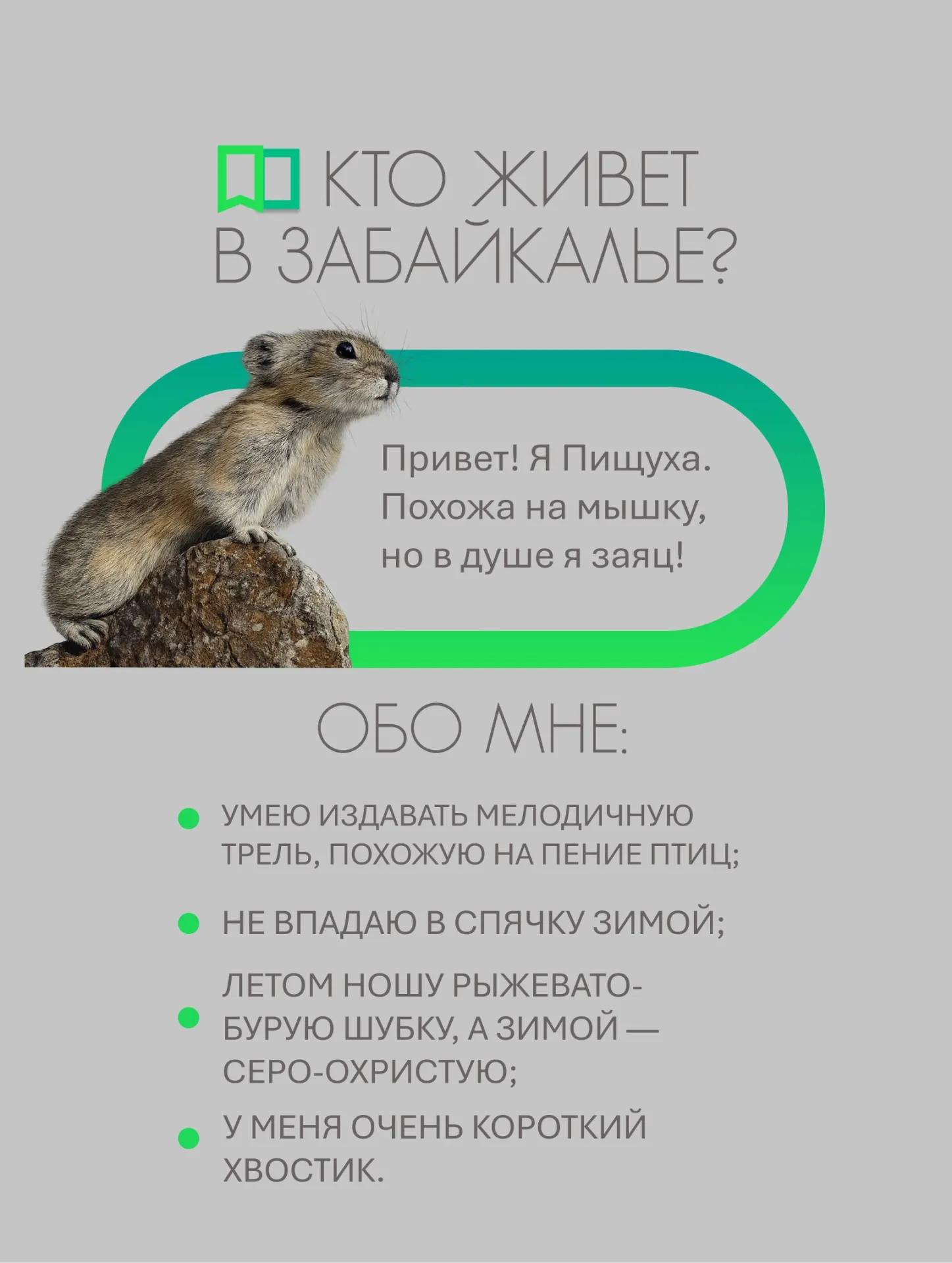 Небольшой зверёк из семейства зайцевых живёт среди камней, летом заготавливает сено и прячет запасы на зиму. Он не впадает в спячку и предупреждает сородичей громким свистом.