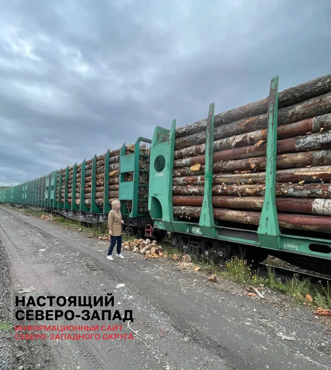 Жители нескольких поселков Карелии заявляют, что не получили оплаченные дрова из‑за реорганизации лесозаготовительных компаний, в то время как древесину вывозят на экспорт; обращения к властям пока не помогли.