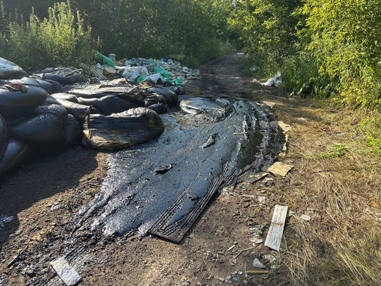 На дороге под ЛЭП в Ленинском округе нашли мешки с битумом, строительный мусор и останки свиней — в районе стоит сильный запах. Жителей призывают привлечь к проверке профильные органы и организовать уборку.