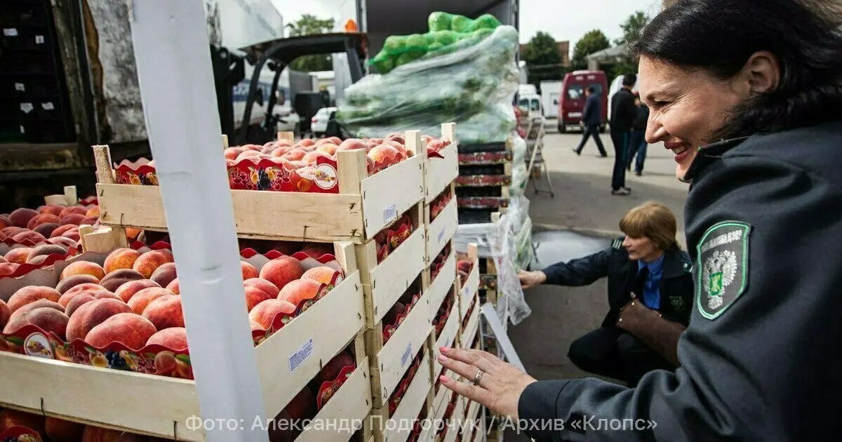 Партия из 5 тонн нектаринов задержана на границе: в ней обнаружили западного цветочного трипса. Владелец отправил фрукты на обеззараживание, чтобы не допустить распространения вредителя.