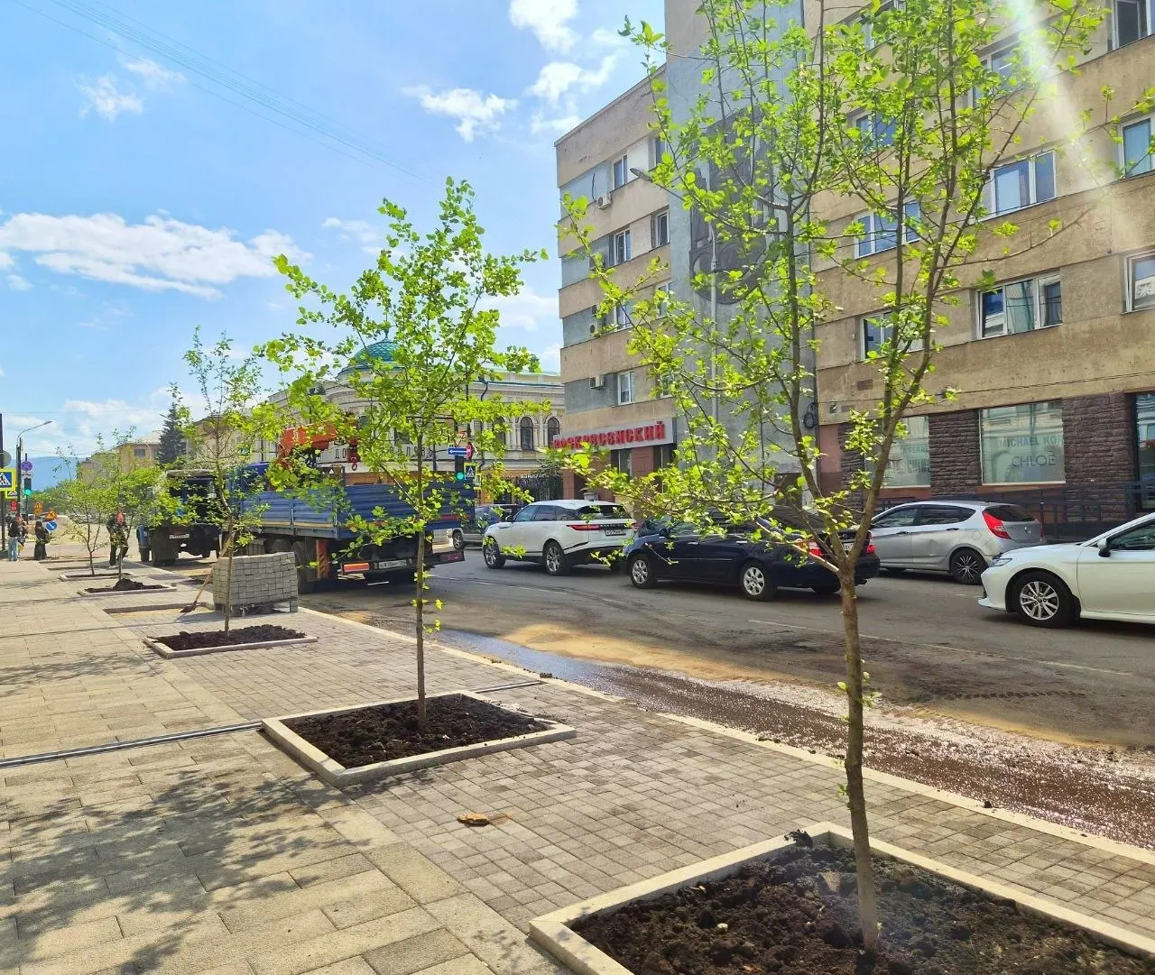 На улицах Диктатуры Пролетариата и Кирова высадили около 60 деревьев и кустарников. Эксперты и жители предупреждают, что корневые колодцы слишком малы и залиты бетоном, из‑за чего растения могут не прижиться.