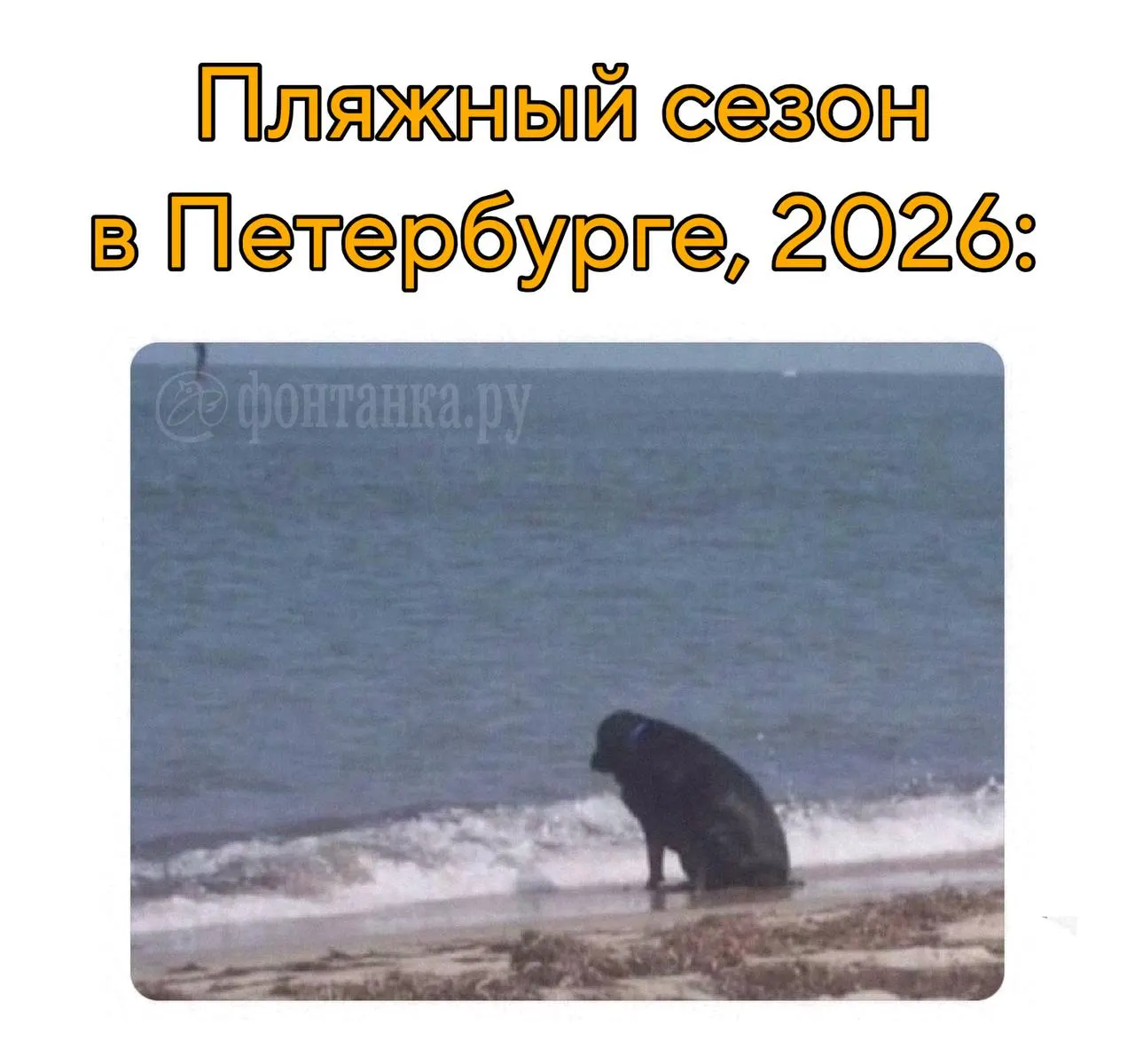 Роспотребнадзор признал пригодными для купания в Петербурге только Верхнее Суздальское и Безымянное озёра; в Ленобласти выявлено семь безопасных мест, все — в Приозерском районе.