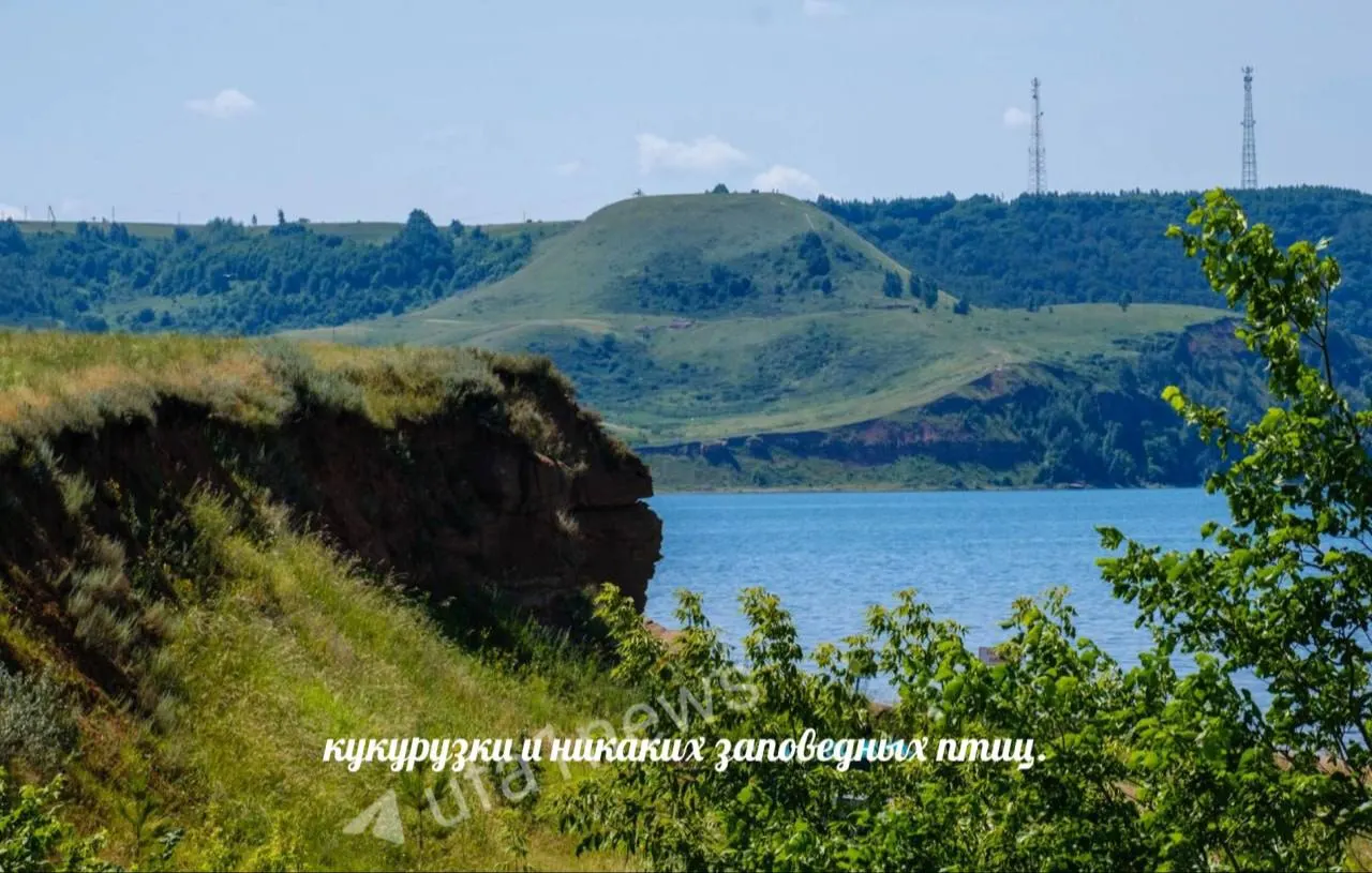 Посетительница пожаловалась главе республики на переполненные баки, неубранные туалеты и заросший берег. В Минэкологии пояснили, что средства идут на охрану, уборку и зарплаты, а траву не косят из‑за заповедного статуса.