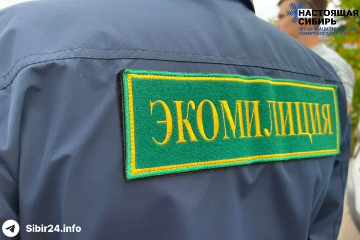 Ректор Новосибирского государственного архитектурно-строительного университета выступил с инициативой восстановить специализированный орган по охране окружающей среды. Ранее подобное подразделение действовало в городе в 2008–2010 годах, но было упразднено после проверок.