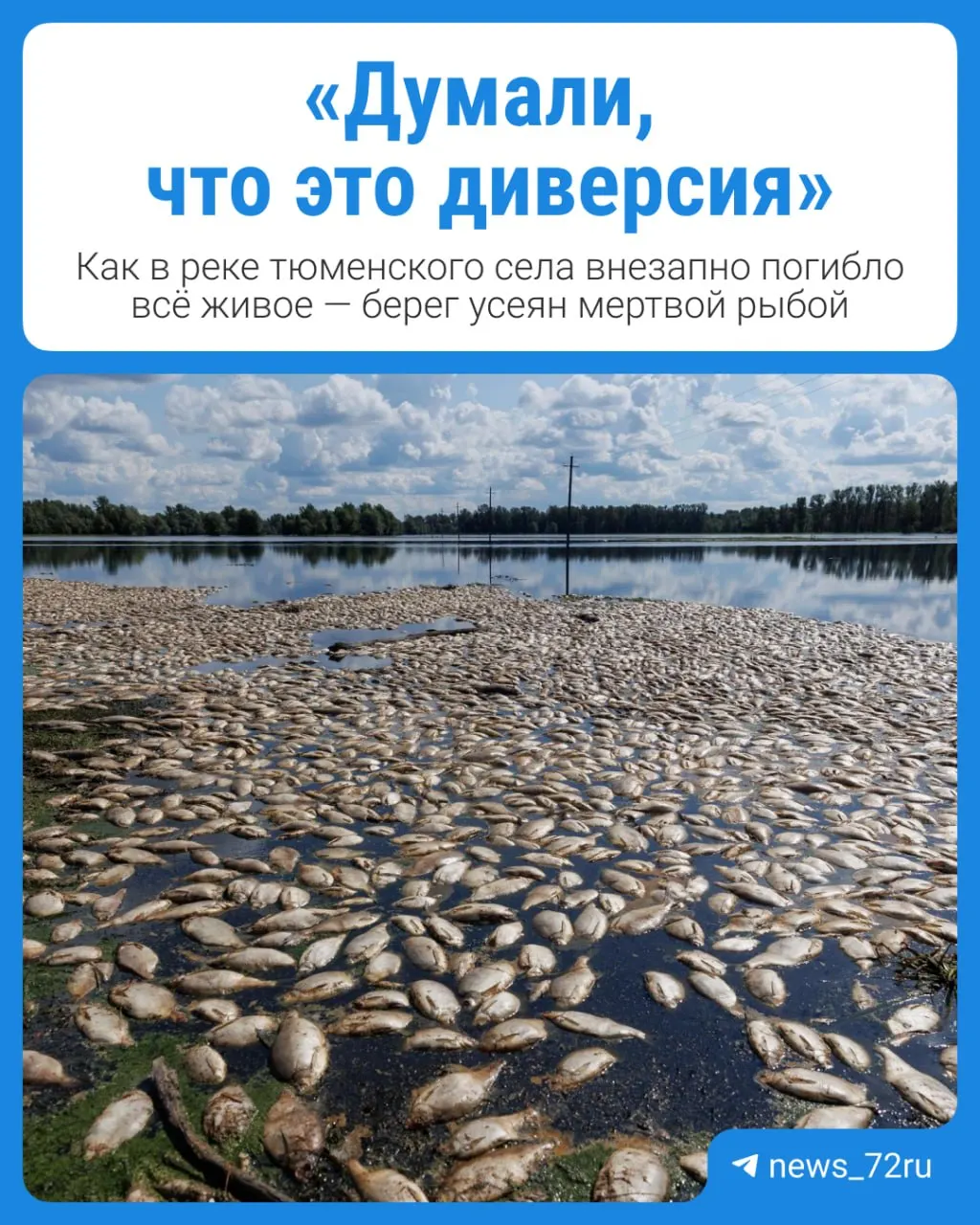 После летнего паводка на водоёмах села Чечкино зафиксирована массовая гибель рыбы; местные жители жалуются на запах разложения и ухудшение санитарной обстановки.