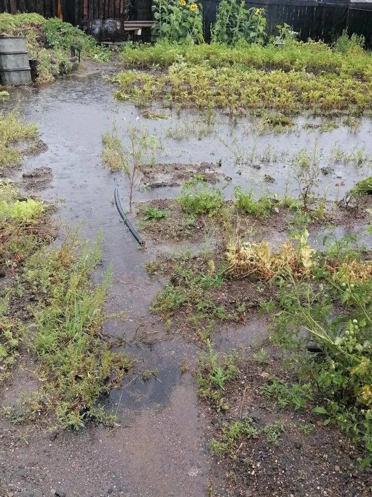 Жители поселка Восточный сообщают о затоплениях огородов и домов. Власти обещают расширить водоотводные канавы и рассмотреть компенсации за убытки.