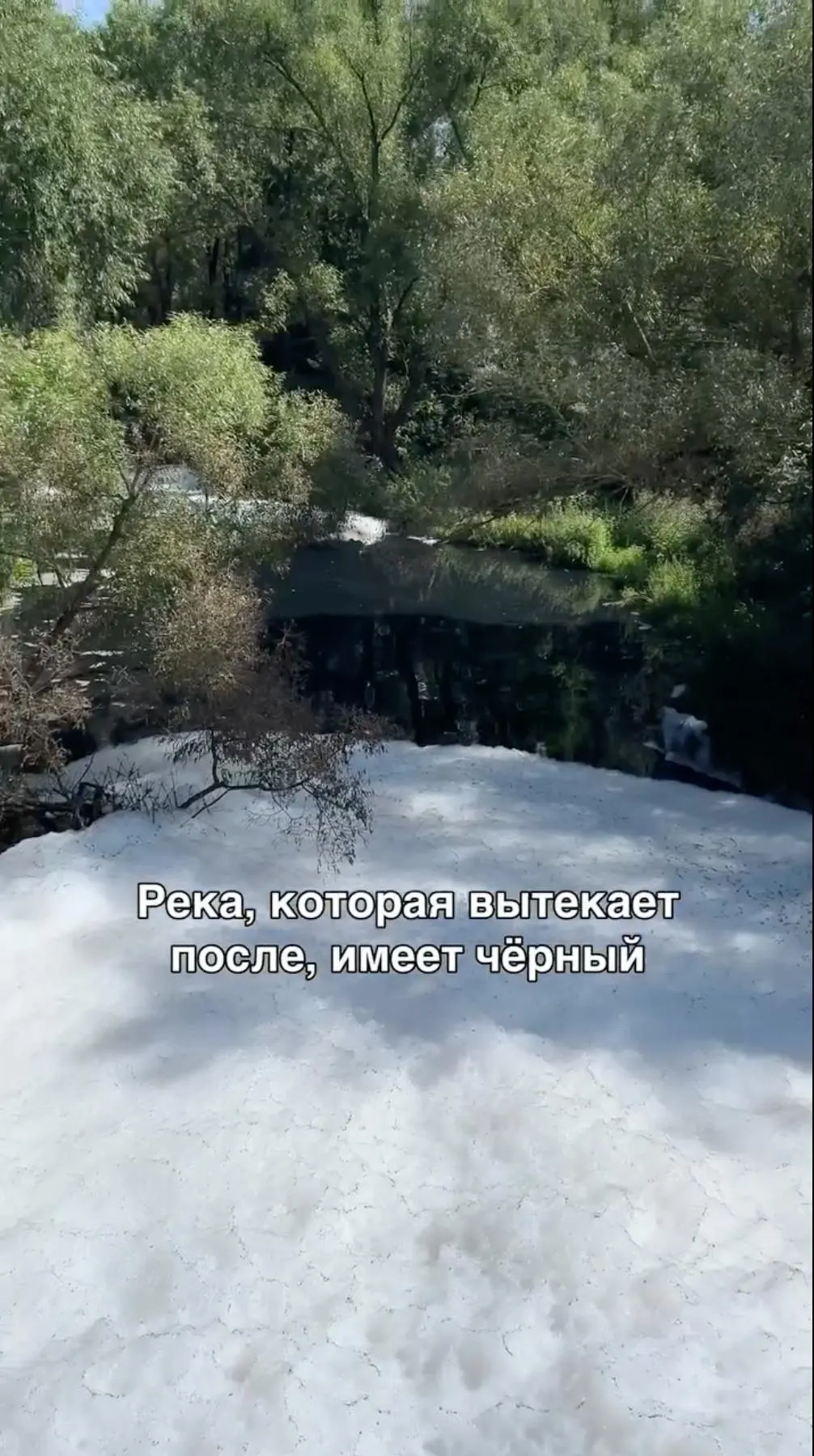 Боновые заграждения помогают локализовать загрязнение и снизить риски для экосистемы и жителей. Проводятся испытания биотехнологий очистки водоёмов с использованием бактерий.