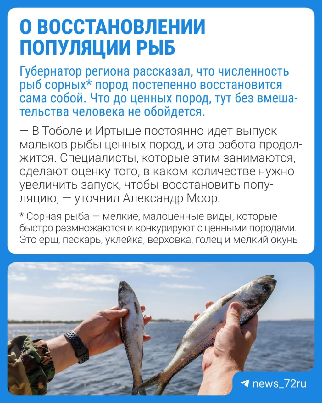 После летних паводков в регионе погибло значительное число рыбы; эксперты обсуждают риски и перспективы восстановления водной экосистемы.