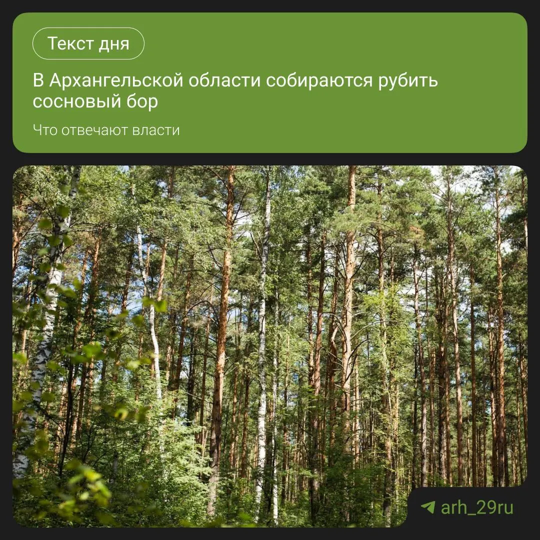 Жители требуют пояснений по поводу разрешения на заготовку древесины и действий местных властей.