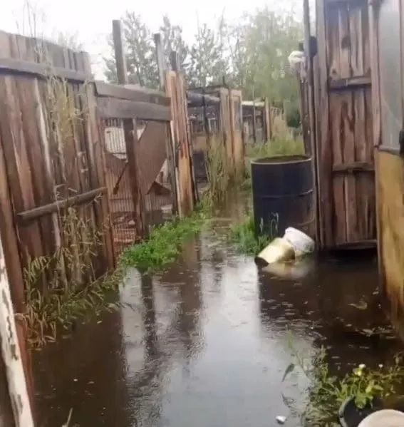 Территорию приюта затопило из‑за подъёма уровня воды; сотрудники и волонтёры продолжают спасать животных, требуют поддоны, будки и прочие материалы.