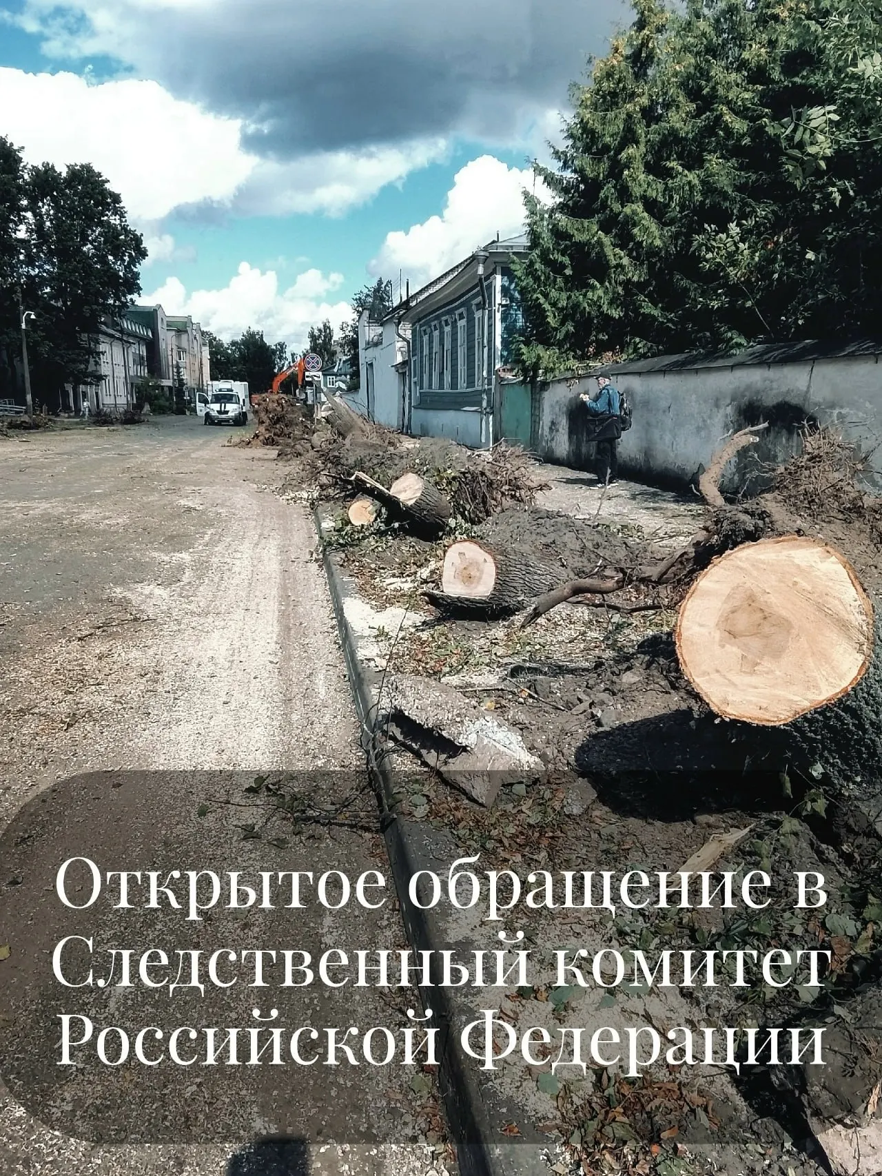 Житель города направил письмо руководству Следственного комитета с просьбой проверить возможные преступления и бездействие должностных лиц в связи с уничтожением зелёных насаждений.
