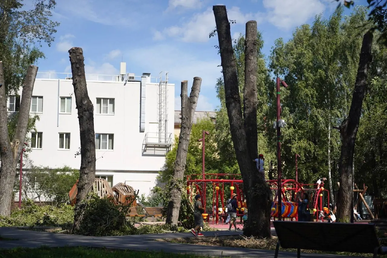 Местные активисты и жители выражают озабоченность по поводу радикальной обрезки деревьев вокруг детской площадки.