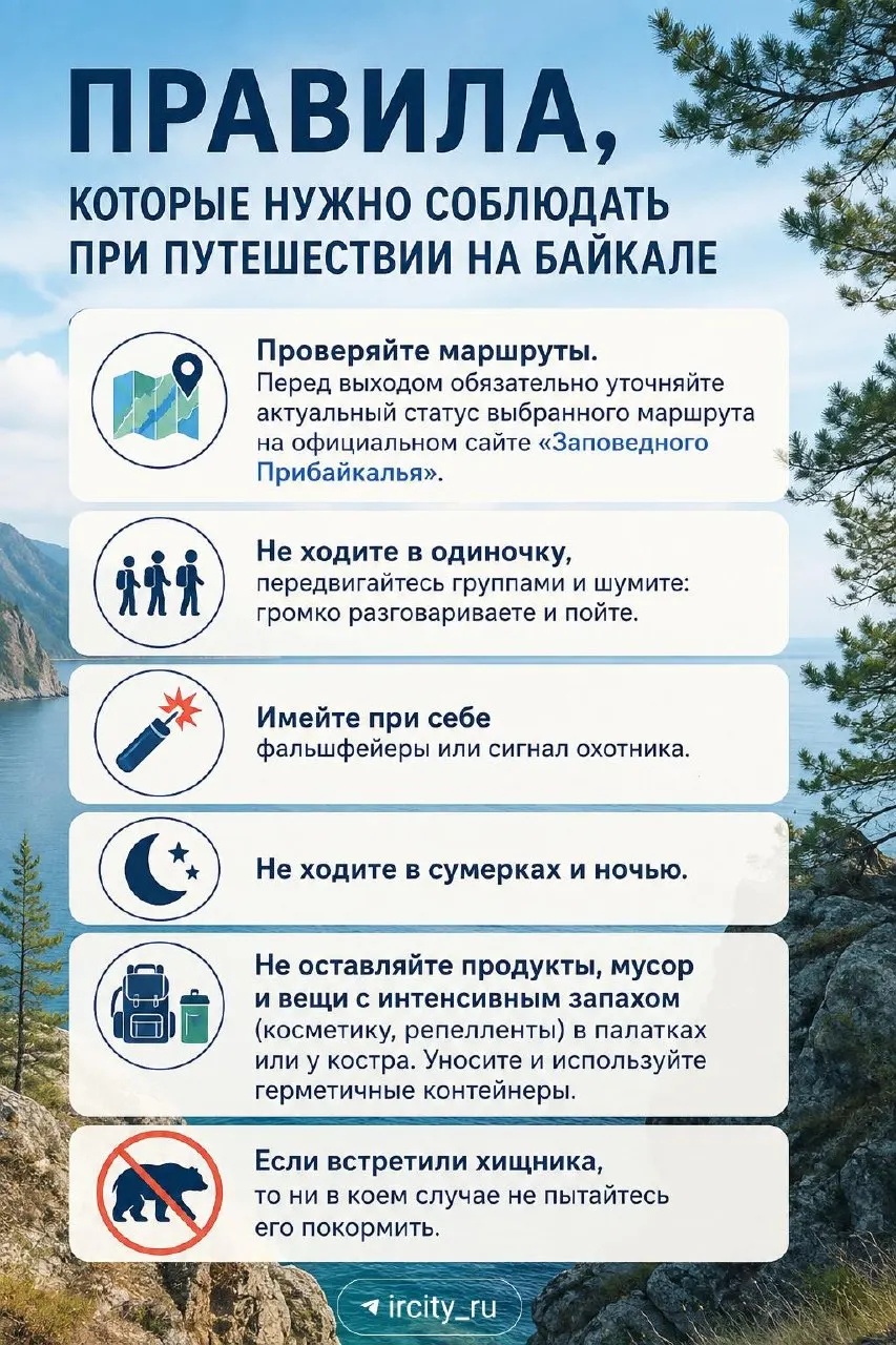 Экологи фиксируют тревожную тенденцию: медведи выходят к людям в прибайкальском регионе; инспекторы принимают меры по предупреждению и охране.
