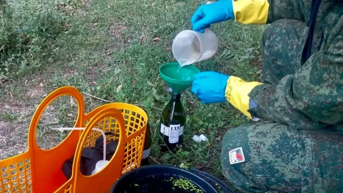 Межведомственная экологическая комиссия зафиксировала помутнение воды на реке Овсянка и массовую гибель рыбы. Основная версия — вмешательство сторонней спецтехники.