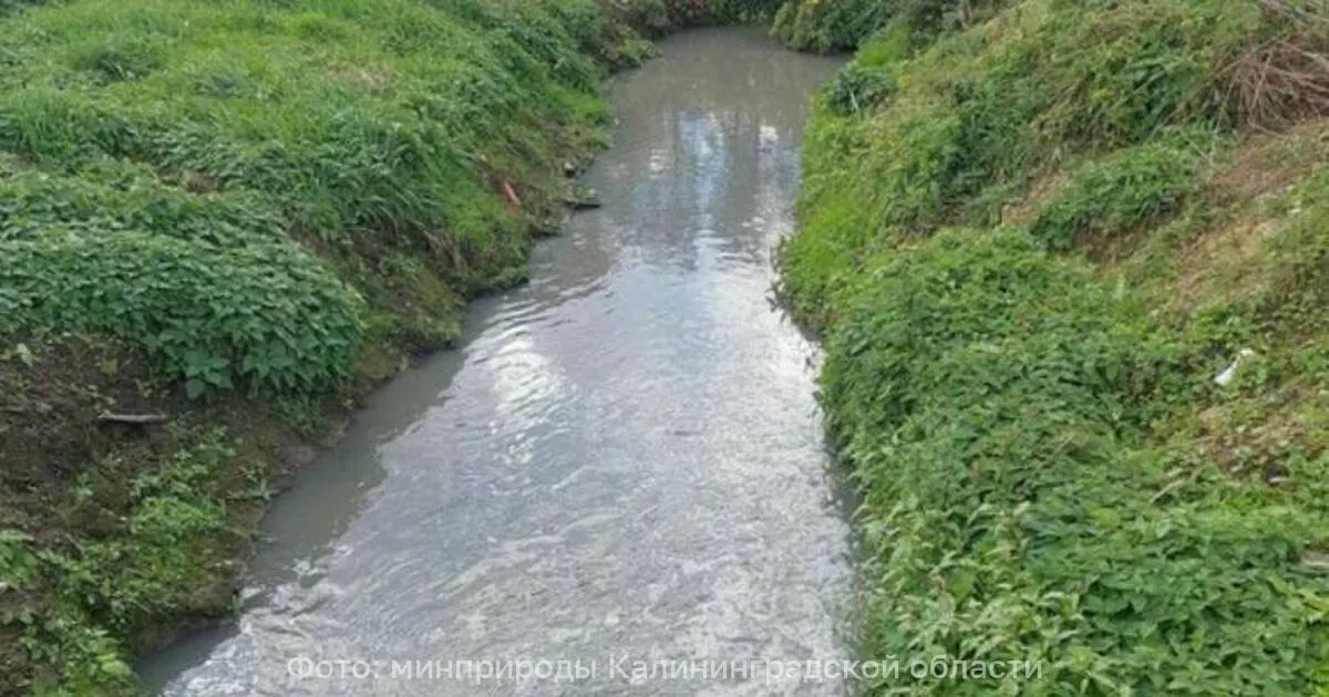 Минприроды региона обсудил меры по снижению сбросов и контролю качества воды; предприятиям дали двухнедельный срок на подготовку планов.