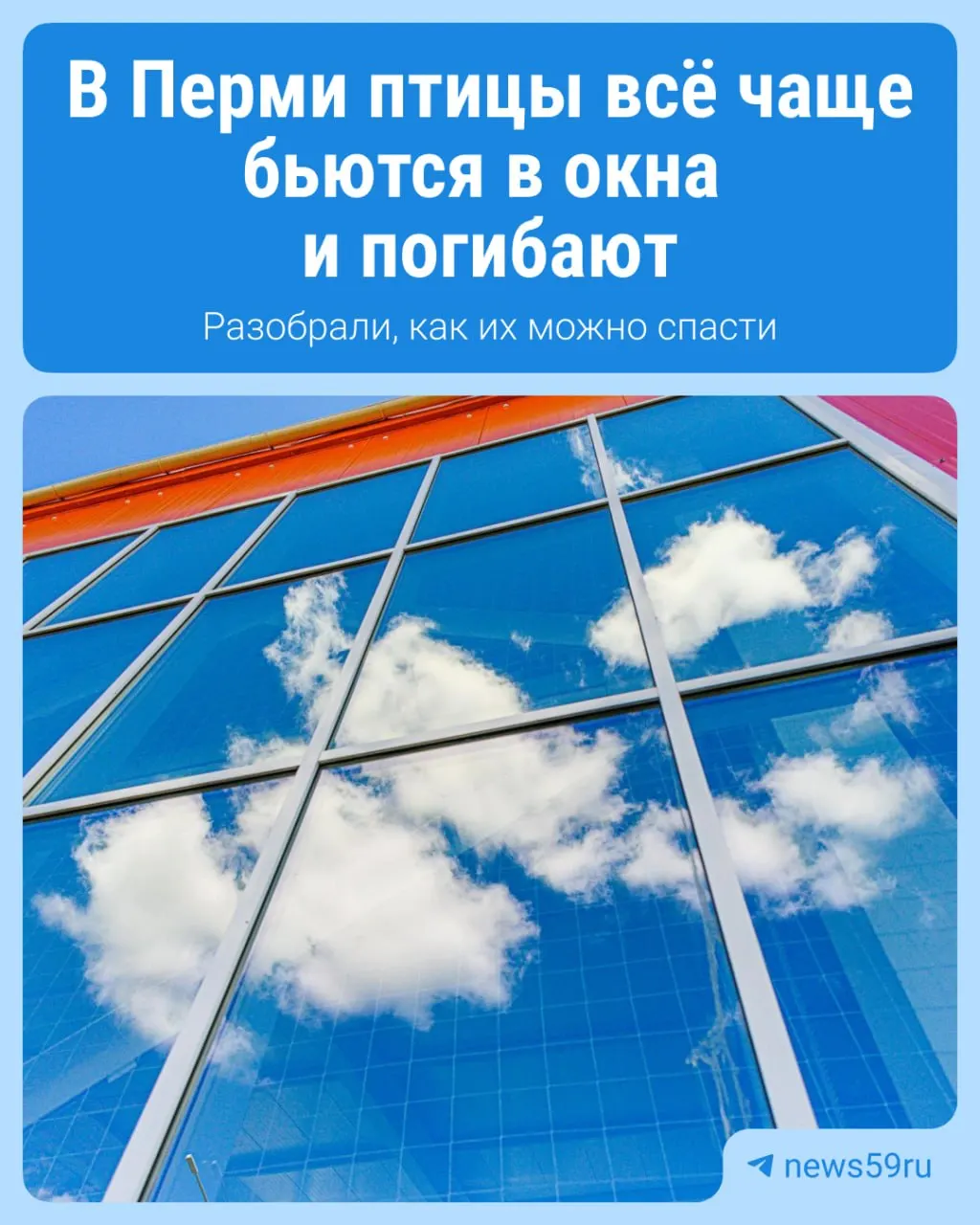 Птицы сталкиваются с витражами в Перми; специалисты объясняют причины и обсуждают меры защиты при поддержке местного бизнеса.
