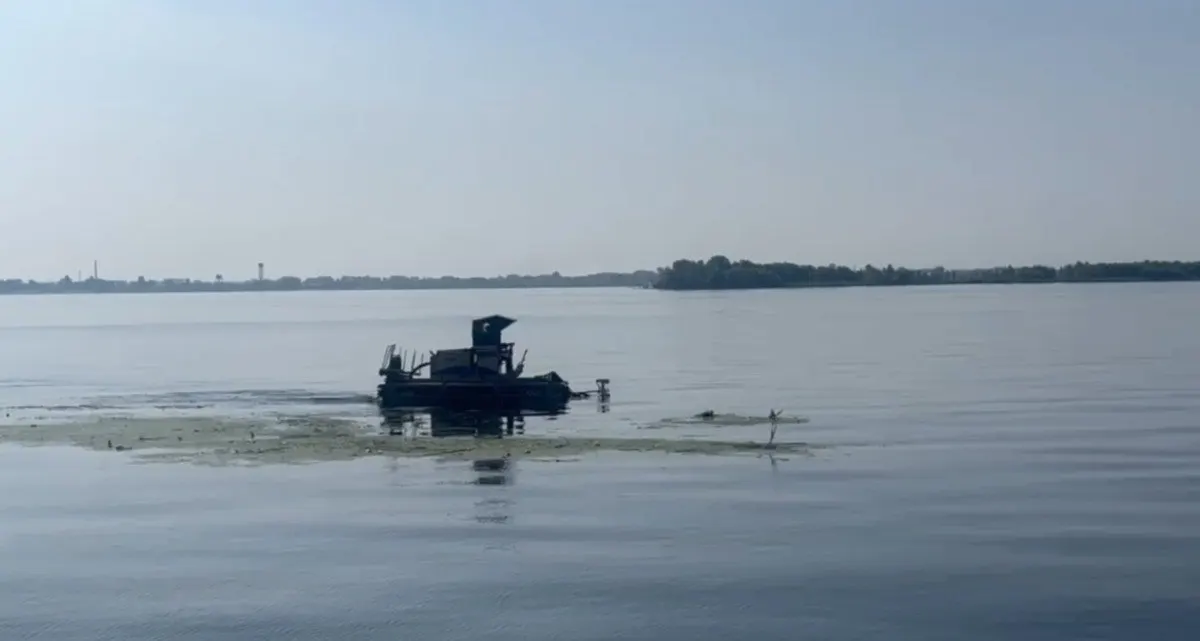 Участники работ сообщили об уборке поверхности воды от мусора, а также удалении водорослей и камыша возле саратовской набережной после нерестового периода.