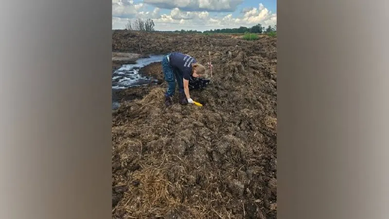 Проверка выявила признаки нарушения экологической безопасности: размещение отходов, загрязнение почвы и угрозу для воздуха. Местные жители требуют независимой оценки ситуации.