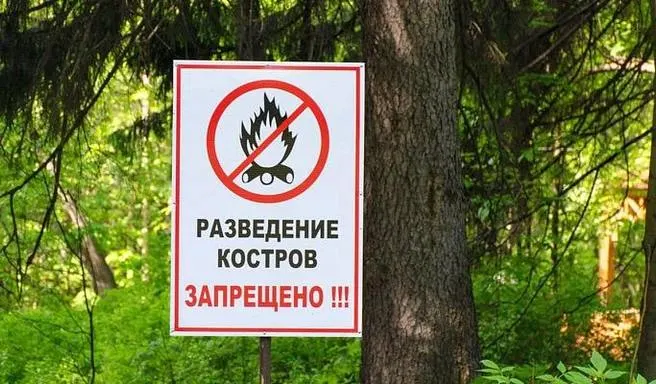 Особый противопожарный режим действует до 1 ноября. Разъяснения властей о возможности жарки шашлыков и правила поведения граждан.